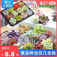 五月花语 自选花束，传递浪漫心意