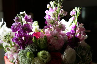 纸间花香 创意纸质鲜花，献给亲人生日的独特礼物