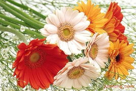 中国鲜花礼品网 打造视觉与品质并存的精品店铺